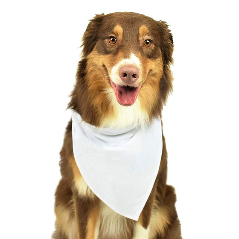 30pcs White Polyester Blank Do - Bandana Blank White review and price