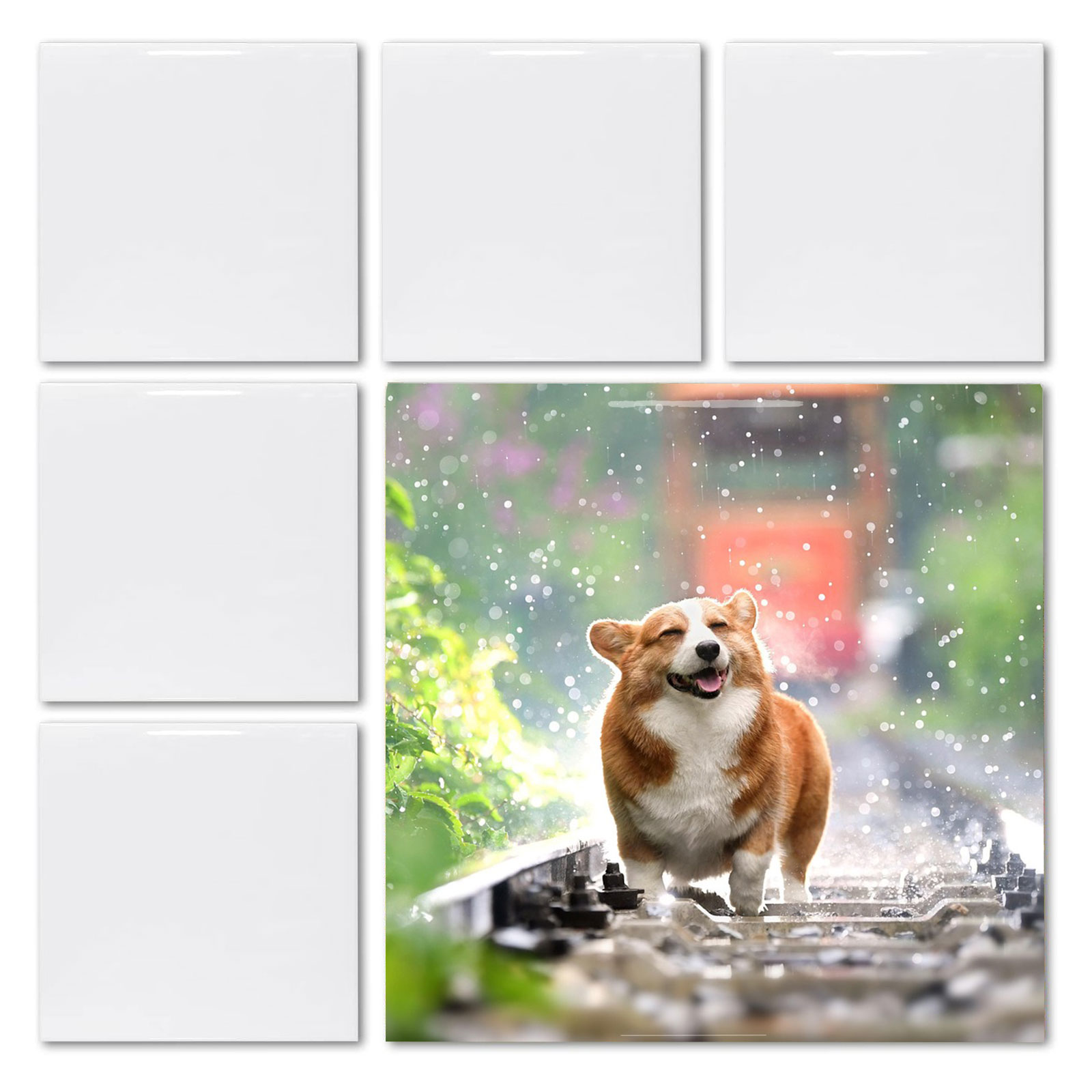 20pcs 4' X 4' Sublimation Blan - Ceramic Tile Blank review and price